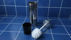 Hur man tvättar en toalettborste på rätt sätt: 3 metoder utan kemikalier
