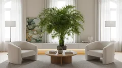 Hur man odlar en frodig palm hemma: enkla tips som verkligen fungerar