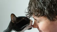 Kattens vanor: varför slickning inte bara är en form av tillgivenhet